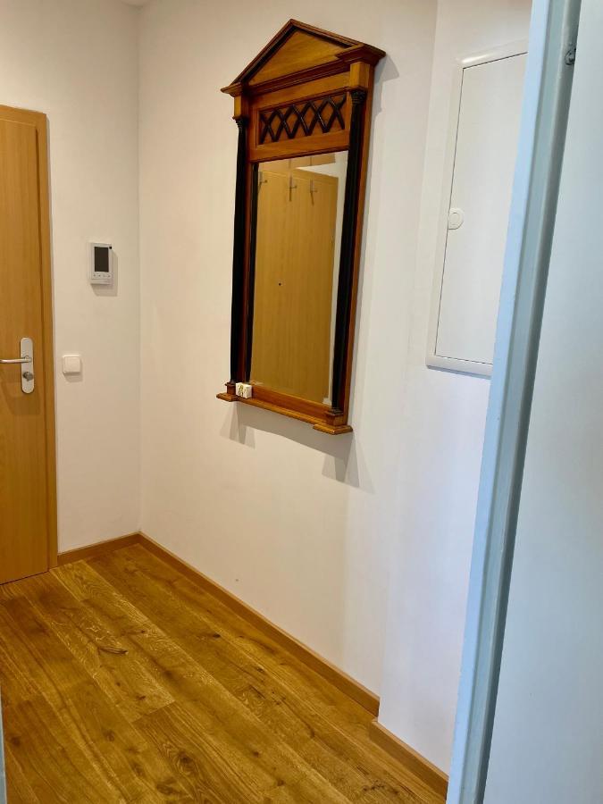 Zentrumsnahe Leipzig-Apartments, Nahe Ufz Und Bmw Inkl Parkplatz Und Fahrraeder Exterior foto